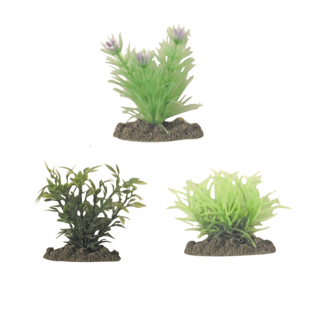 アクアティックプランツSS3種